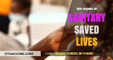 Vaccines vs. Sanitation: Which Has Saved More Lives Globally?