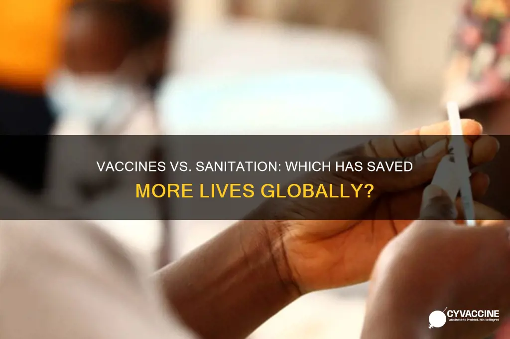 have vaccines or sanitary saved lives