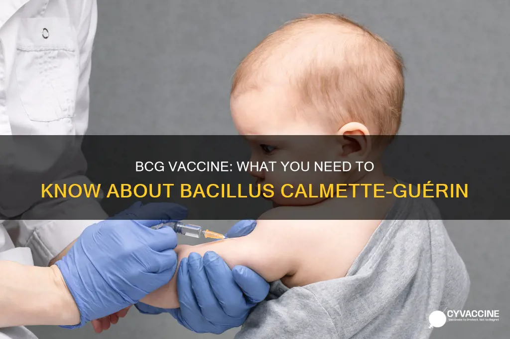 have you had the bcg bacillus calmette guérin vaccine
