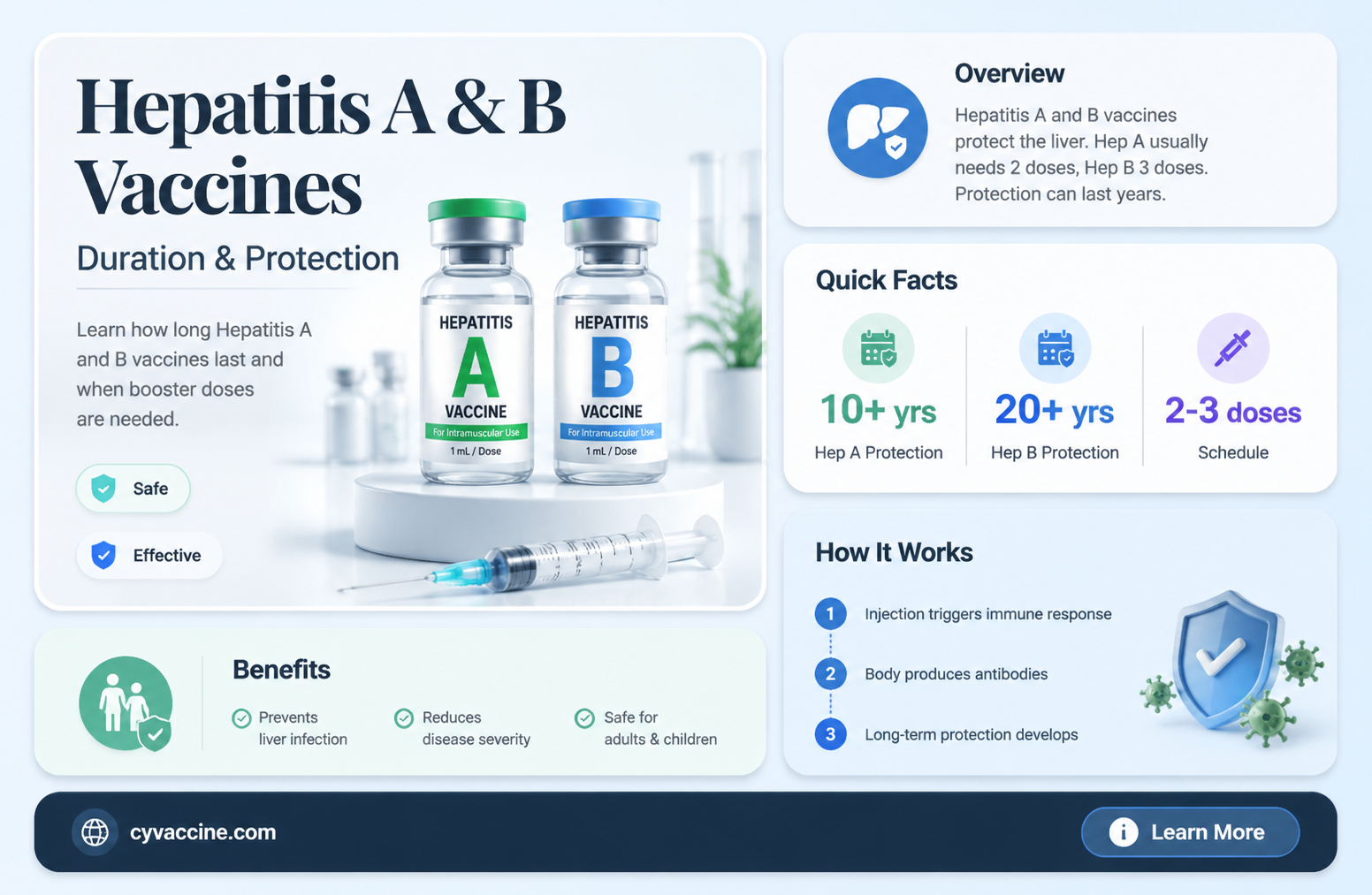 are hepatitis a and b vaccines good for life