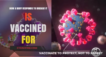 Vaccine Power: Understanding Your Body's Defense Against Immunized Diseases