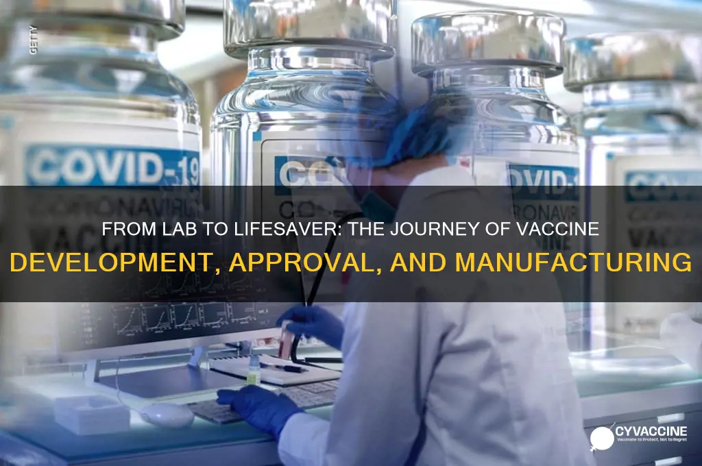 how a new vaccine is developed approved and manufactured