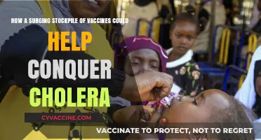 Vaccine Stockpile Surge: A Powerful Tool to Defeat Cholera