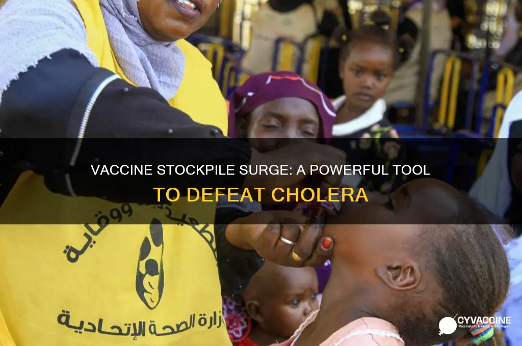 how a surging stockpile of vaccines could help conquer cholera