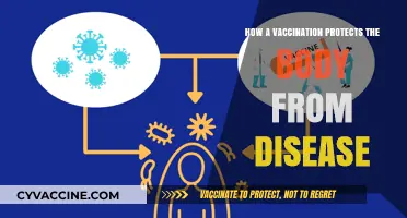 How Vaccines Strengthen Immunity and Prevent Deadly Diseases Effectively