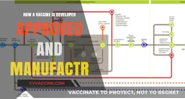 Vaccine Development: From Lab to Approval and Manufacturing Process