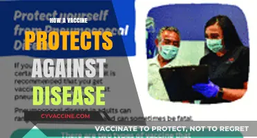 Understanding Vaccines: How They Shield Your Body from Diseases