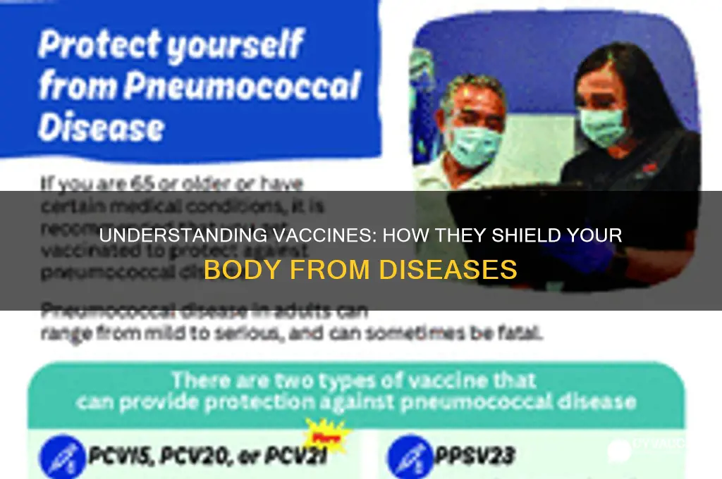 how a vaccine protects against disease