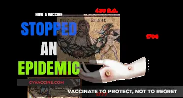 The Power of Vaccines: Ending a Deadly Epidemic's Reign
