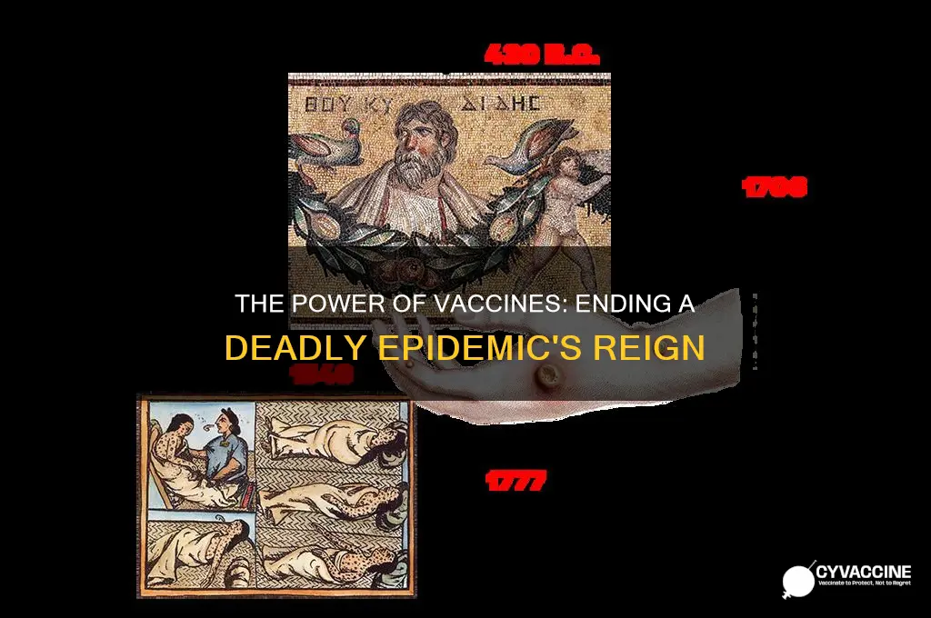 how a vaccine stopped an epidemic