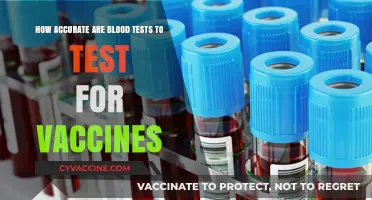Blood Tests and Vaccine Detection: Uncovering the Accuracy and Limitations