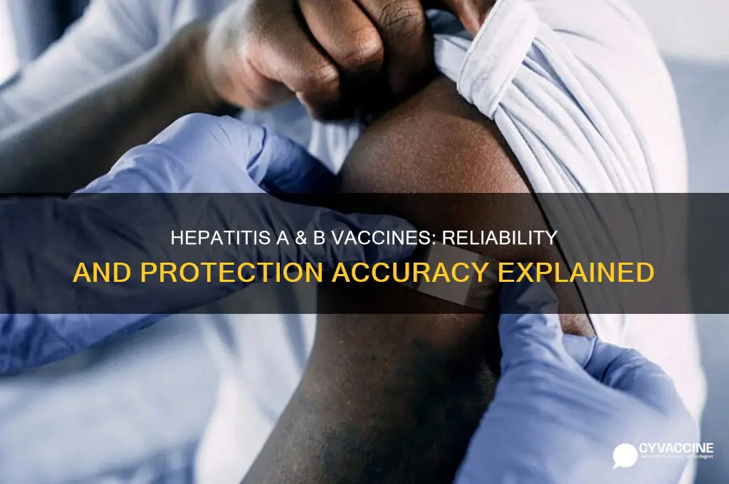 how accurate are hep a and b vaccinations