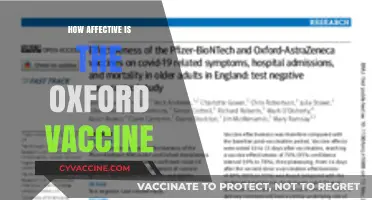 Oxford Vaccine Effectiveness: Efficacy, Safety, and Global Impact Explained