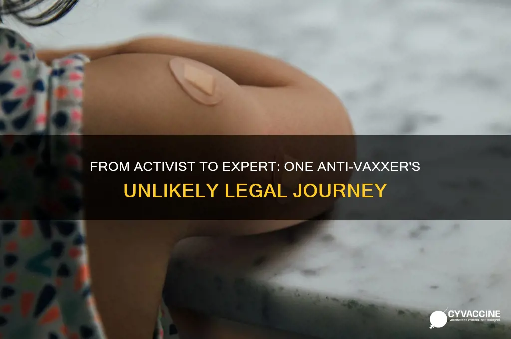 how an anti vaccination activist became an expert witness