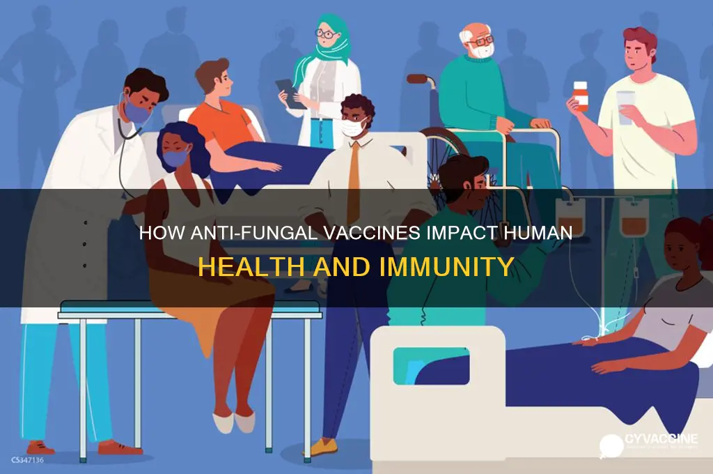 how anti fungal vaccines affect the hman body