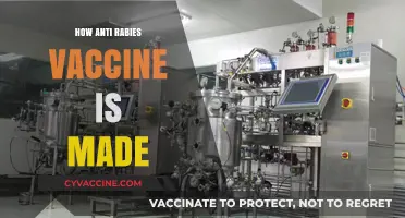 Unveiling the Process: How Anti-Rabies Vaccines Are Manufactured