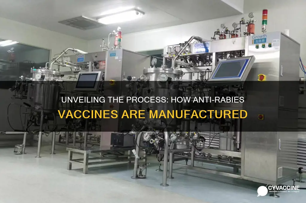 how anti rabies vaccine is made