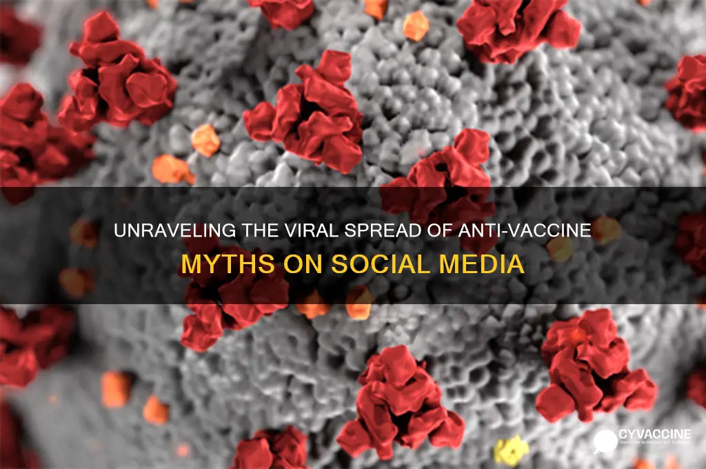 how anti-vaccine conspiracy theories spread on social media