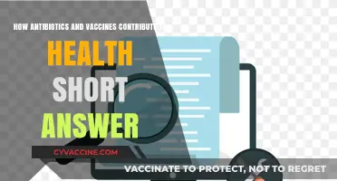 Antibiotics and Vaccines: Key Contributions to Public Health Explained