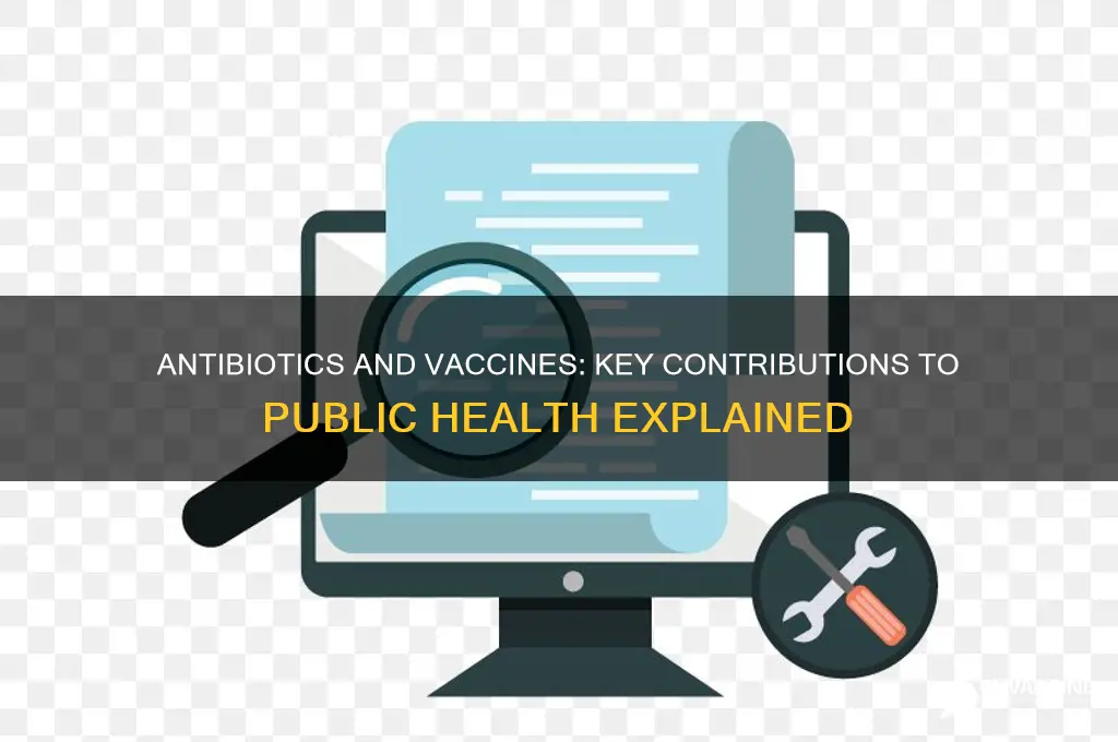 how antibiotics and vaccines contribute to health short answer