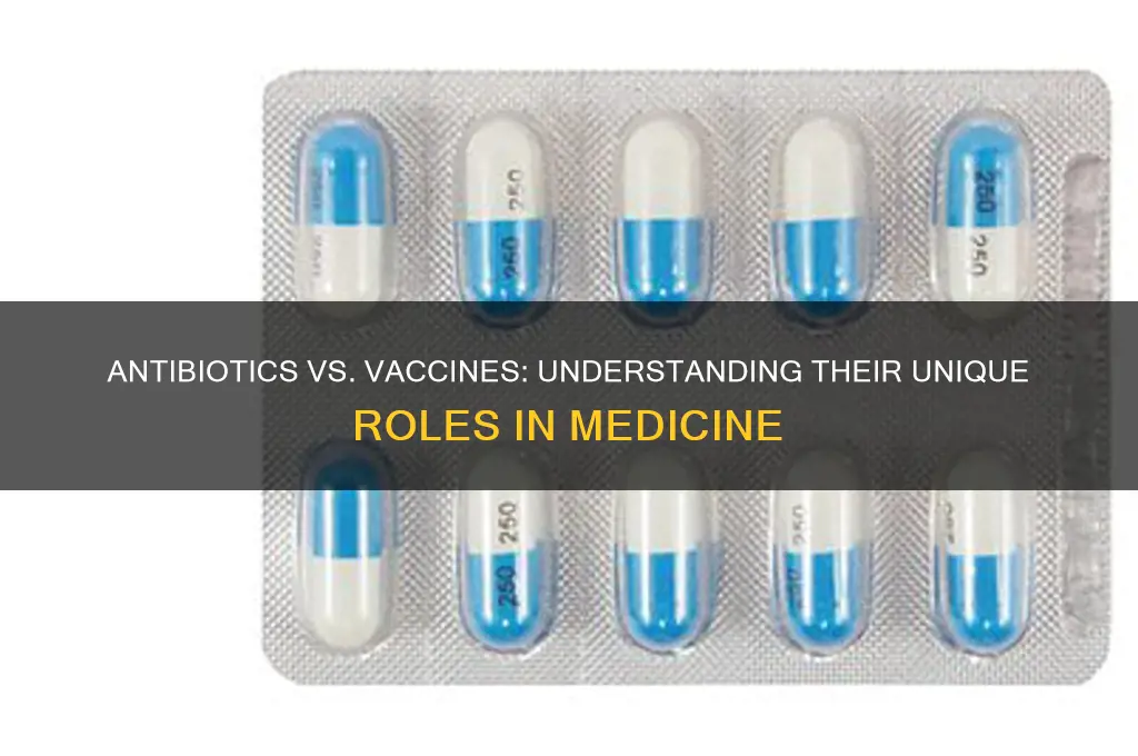 how antibiotics and vaccines differ from each other