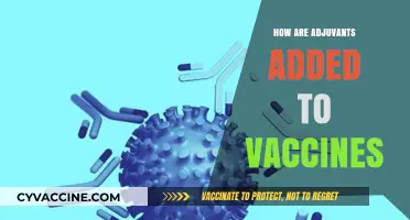 Understanding Adjuvant Integration: How Are Adjuvants Added to Vaccines?