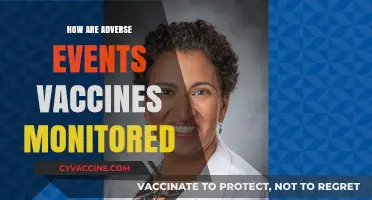 Monitoring Vaccine Safety: How Adverse Events Are Tracked and Addressed