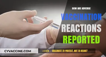 Reporting Adverse Vaccination Reactions: Processes, Systems, and Public Health Insights