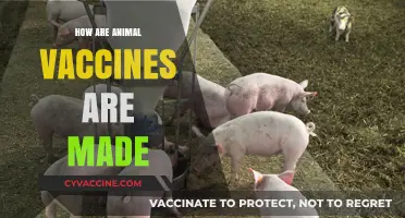 Understanding the Science Behind Creating Animal Vaccines: A Comprehensive Guide