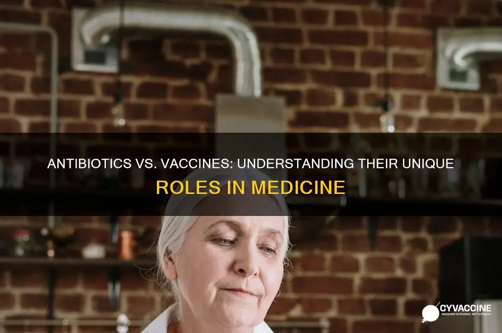 how are antibiotics and vaccines differen