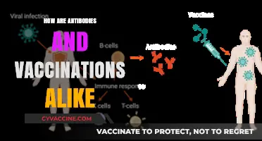 Antibodies and Vaccines: Uniting Forces in Immune Defense Strategies