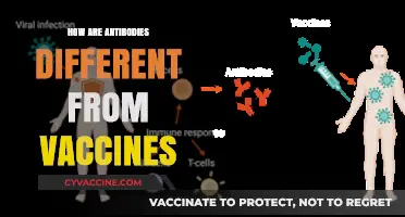 Antibodies vs. Vaccines: Understanding Their Unique Roles in Immunity