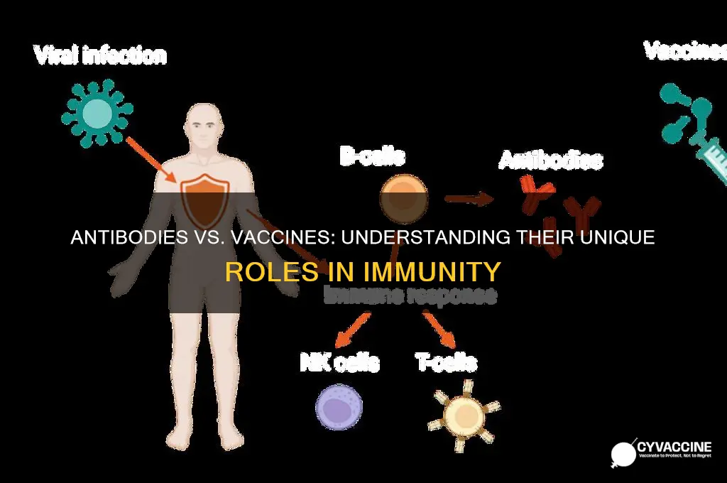 how are antibodies different from vaccines
