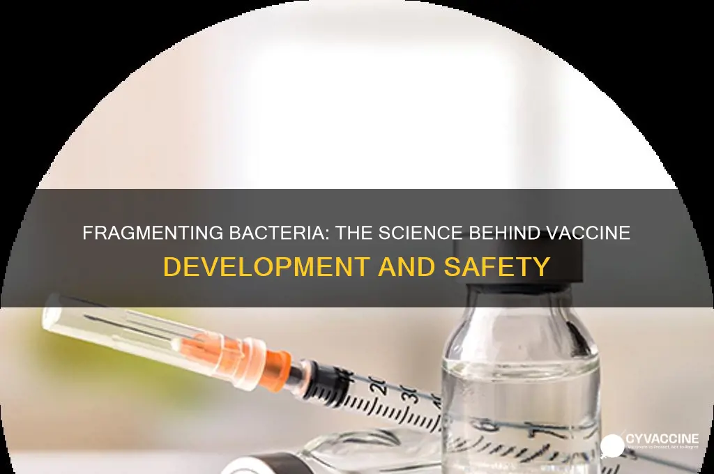 how are bacteria fragmented for vaccines