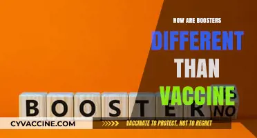Boosters vs. Vaccines: Key Differences and Their Unique Roles in Immunity
