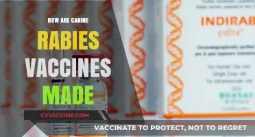 Understanding the Science Behind Canine Rabies Vaccine Production Process