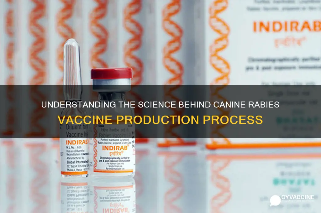 how are canine rabies vaccines made