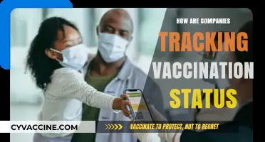 Vaccine Verification: How Companies Are Tracking Employee Immunization Status