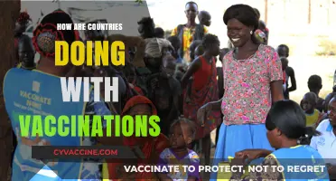 Global Vaccination Progress: Tracking Countries' Efforts and Success Rates