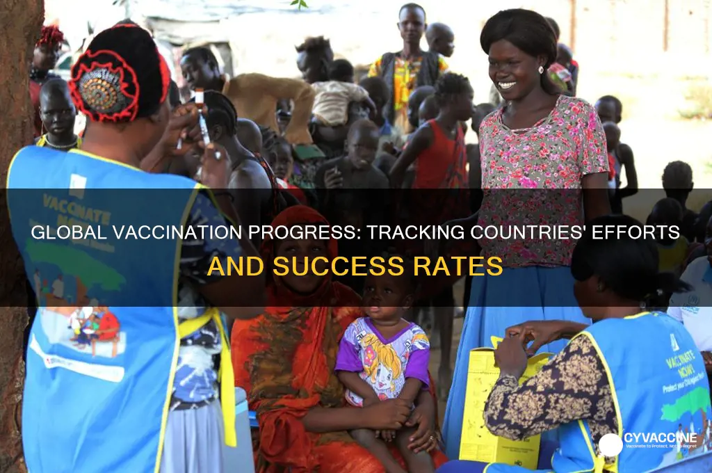 how are countries doing with vaccinations