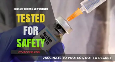 Ensuring Safety: The Rigorous Testing Process for Drugs and Vaccines