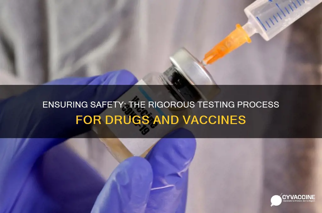 how are drugs and vaccines tested for safety