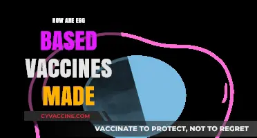 Cracking the Code: How Egg-Based Vaccines Are Produced
