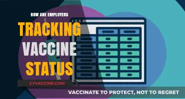 Employers' Vaccine Tracking Methods: Privacy, Compliance, and Workplace Safety Explored