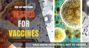 Endotoxin Testing in Vaccines: Ensuring Safety and Purity