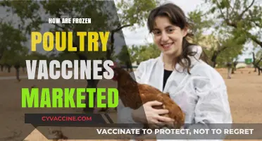 Marketing Strategies for Frozen Poultry Vaccines: A Comprehensive Guide