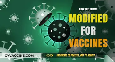 Unveiling Vaccine Science: How Germs Are Modified for Immunization
