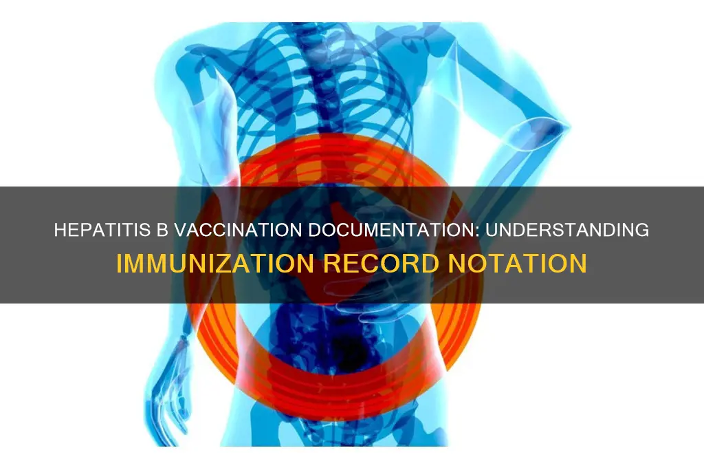 how are hep b vaccines noted on immunization records