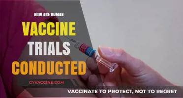 Understanding Human Vaccine Trials: A Step-by-Step Guide to Clinical Testing