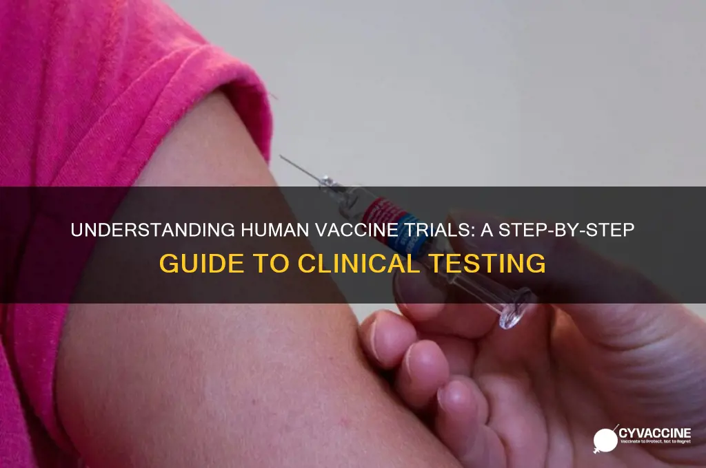 how are human vaccine trials conducted